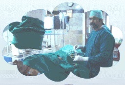 banner image 2
